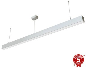 APLED - LED Luster na lanku LOOK LED/58W/230V 4000K 150 cm strieborná