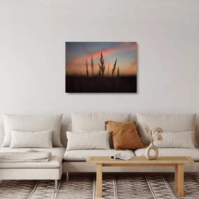 Sklenený obraz - Silueta rastliny (70x50 cm)