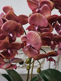Dekorácia umelá kvetina Orchidea s kvetináčom - 32*32*57 cm