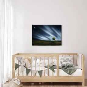 Obraz polárna žiara nad vresoviskom (70x50 cm)