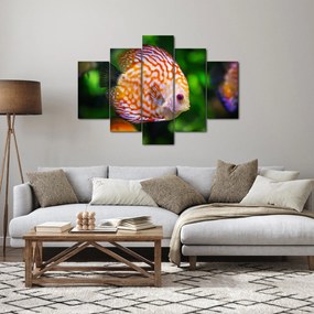 Obraz ryby (150x105 cm)