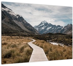 Sklenený obraz - Chodník v údolí hory Mt. Cook (70x50 cm)