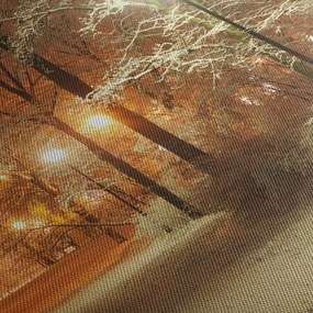 Obraz - Zasnežený park (70x50 cm)