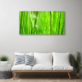 Obraz na plátne Tráva rastlina príroda 140x70 cm