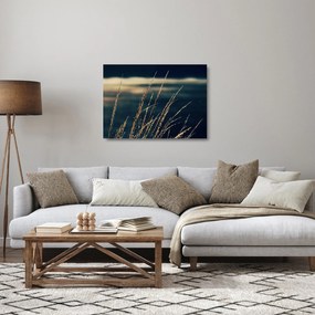 Sklenený obraz tráv (70x50 cm)