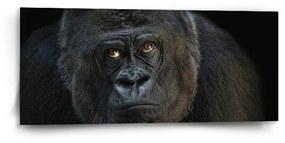 Sablio Obraz Gorila - 110x50 cm