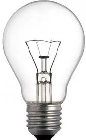 TECHLAMP Špeciálna žiarovka pre extrémne teploty, E27, A55, 60W, 240V
