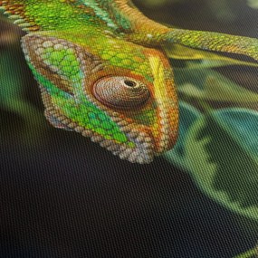 Obraz chameleóna (120x50 cm)