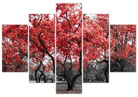Obraz - Červené stromy, Central Park, New York (150x105 cm)