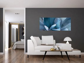 Obraz - Agáve (120x50 cm)