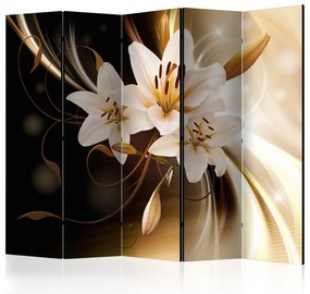 Artgeist Paraván - Circle of Light II [Room Dividers]