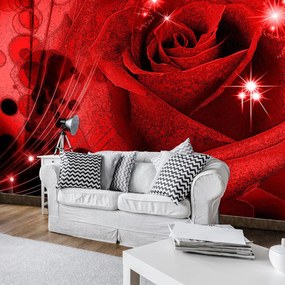 Fototapeta - Červená ruža (152,5x104 cm)