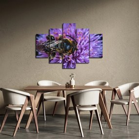 Obraz včely na kvetine (150x105 cm)
