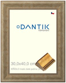 DANTIK rám na obraz 30x40 | KŘÍDLO malé zlaté patina (Plexi Čiré)