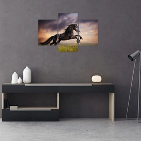 Obraz - Kone (90x60 cm)