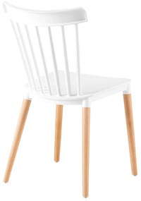 Kondela Jedálenská stolička, biela/buk, ZOSIMA