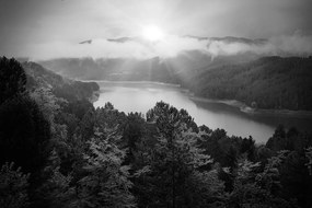 Samolepiaca fototapeta rieka uprostred lesa v čiernobielom prevedení - 450x300