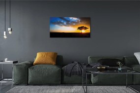 Obraz canvas mraky strom 120x60 cm