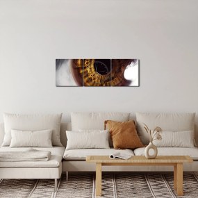 Obraz - Oko (s hodinami) (90x30 cm)