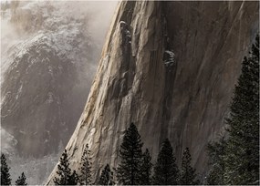 Obraz z údolia Yosemite národnej parku, USA (70x50 cm)