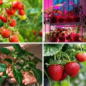 LED Stmievateľná stolná lampa na pestovanie rastlín VITARO 4xLED/10W/230V čierna