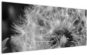 Obraz - páperie púpav (120x50 cm)