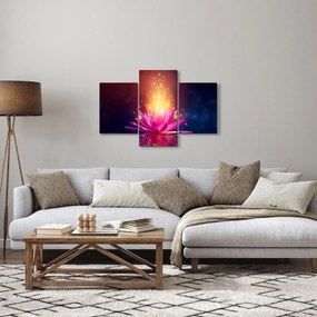 Obraz lekna na vode (90x60 cm)