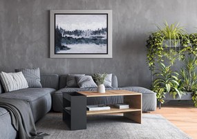 Konferenčný stolík MURCIA 100 cm dub artisan/čierny