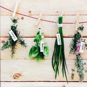 Obraz tlačený na plátne 28x28 PRC261