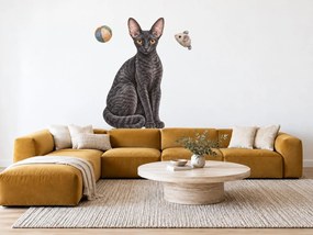 Mačka cornish rex tmavé mačacie nálepky na stenu pre milovníkov mačiek arch 30 x 46 cm