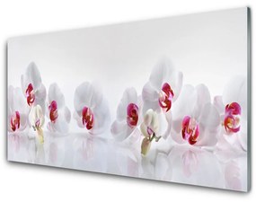 Nástenný panel  Kvety rastlina príroda 140x70 cm