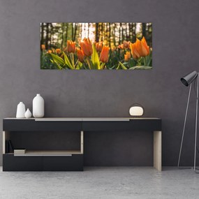 Obraz - oranžové tulipány (120x50 cm)