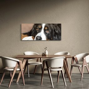 Obraz psa (120x50 cm)