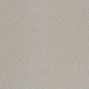 Dlažba Rako Taurus Granit sivá 20x20 cm mat TAA25076.1