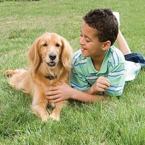 PetSafe® Elektrický ohradník pre psov