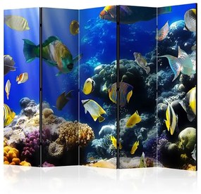 Paraván - Underwater adventure II [Room Dividers] Veľkosť: 225x172, Verzia: Obojstranný