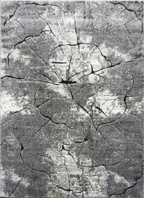Koberec Miami 129 GREY – sivý obdĺžnikový koberec so vzorom Rozmer: 280x370 cm