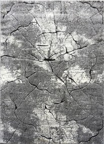 Koberec Miami 129 GREY – sivý obdĺžnikový koberec so vzorom Rozmer: 200x290 cm