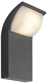 Rabalux 7166 - LED Vonkajšie nástenné svietidlo HONGKONG LED/9W/230V IP65
