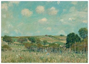 Obraz - Alfred Sisley,  Meadow, reprodukcia (70x50 cm)