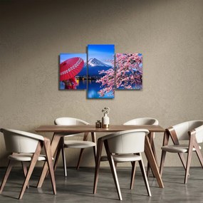 Obraz - Výhľad na vrchol, Japonsko (90x60 cm)