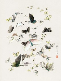 Umelecká tlač Butterflies & Moths (2 of 2) - Katsushika Hokusai, (30 x 40 cm)
