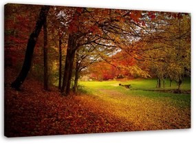 Obraz na plátně Lesní listí podzim - 120x80 cm