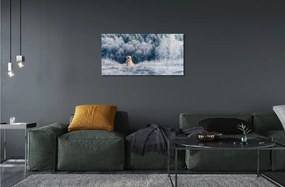 Sklenený obraz Zime salašnícky pes 125x50 cm