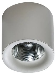 LED bodové svetlo Mane 30W Dimm biele