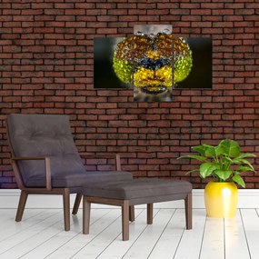 Detailný obraz očí hmyzu (90x60 cm)