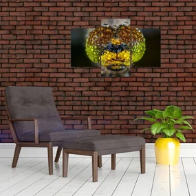 Detailný obraz očí hmyzu (90x60 cm)