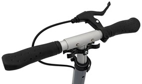 Kolobežka SPORTRIKE ZSP.QZ-2033 strieborná