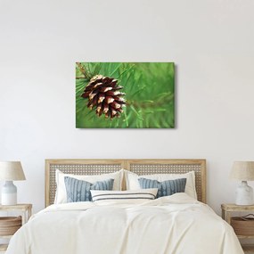 Obraz šišky (90x60 cm)