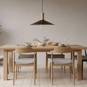 Toolight Toolight, závesné svietidlo 1xE14 APP1084-1CP, čierna-hnedá, OSW-08894